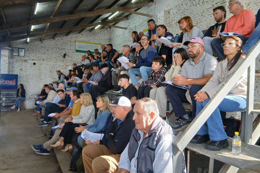 Remate de La Lehmanna en 20 Vidriera Genética