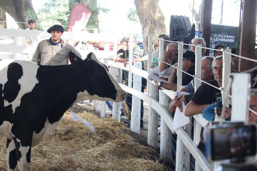 Remate de La Lehmanna en 20 Vidriera Genética