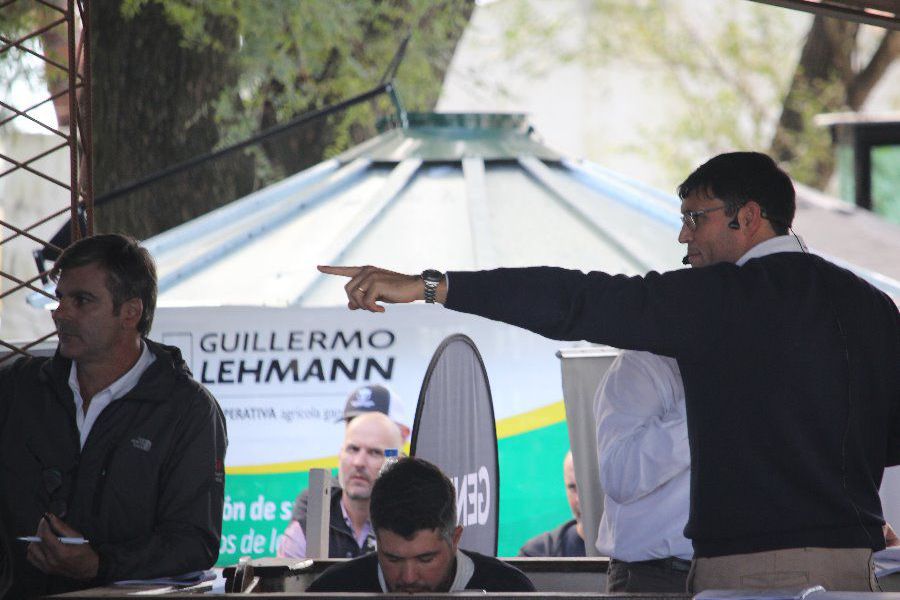 Remate de La Lehmanna en 20 Vidriera Genética