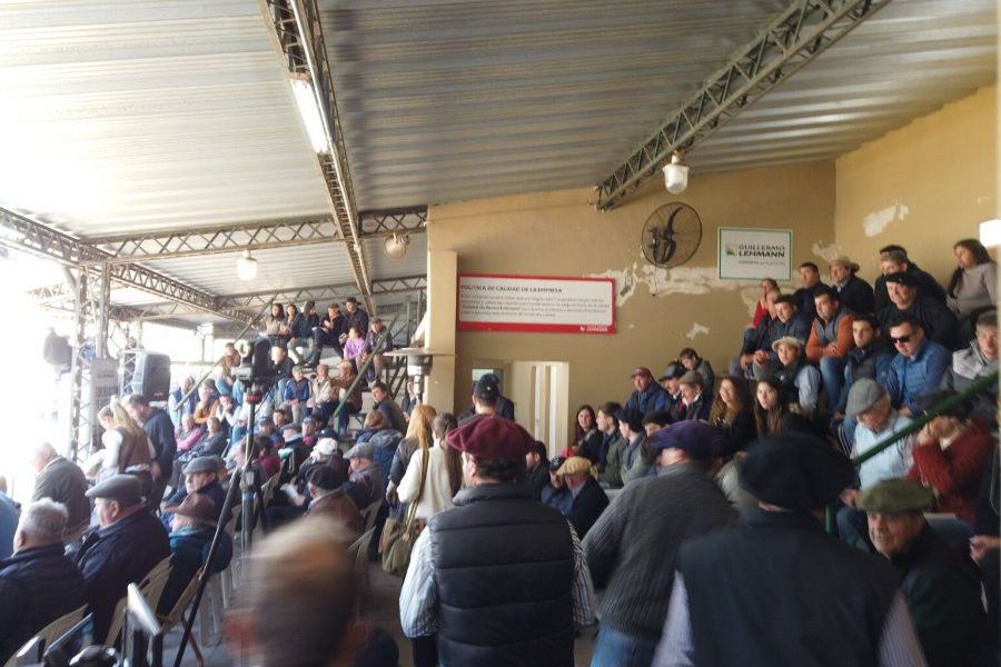 1Remate Raza Carne de La Lehamann en La Emilia