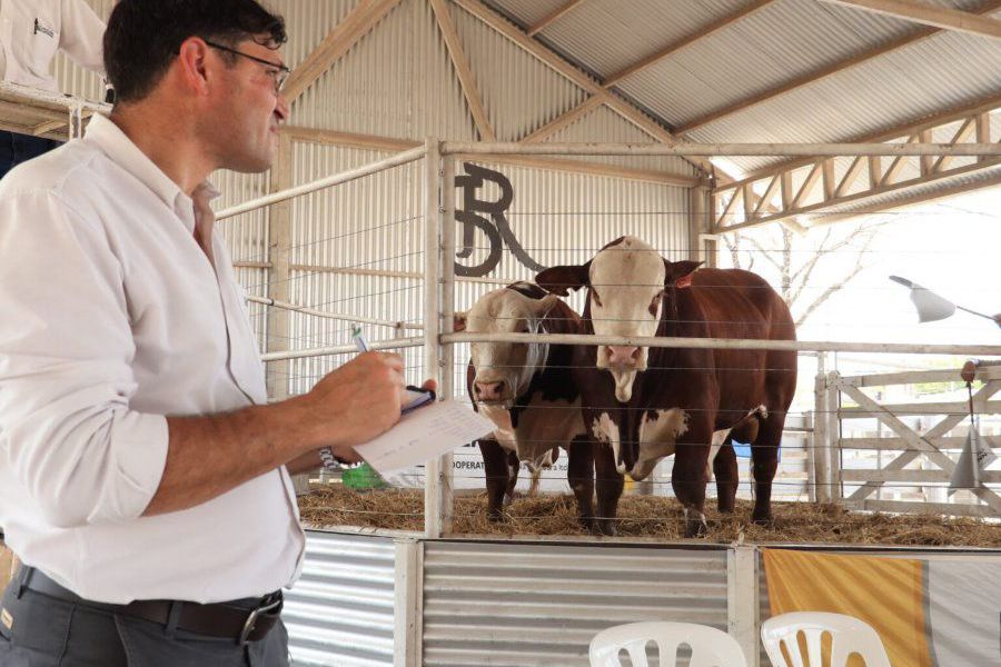 La Lehmann en Rural de Rafaela