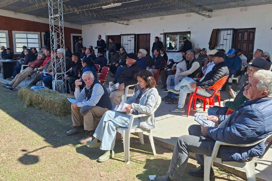2Remate de La Lehmann en Romang