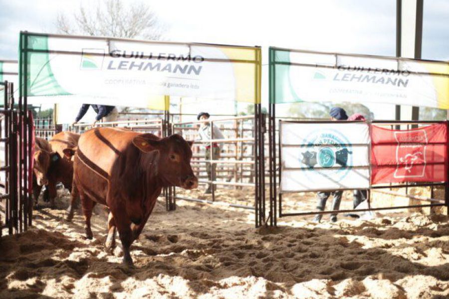 Remate de La Lehmann en San Justo