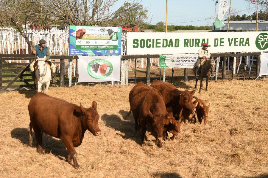 Gran Remate del Norte Santafesino