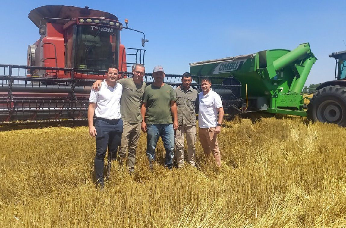 La cosecha de trigo avanza al 80% y deja los mejores rindes de los ...